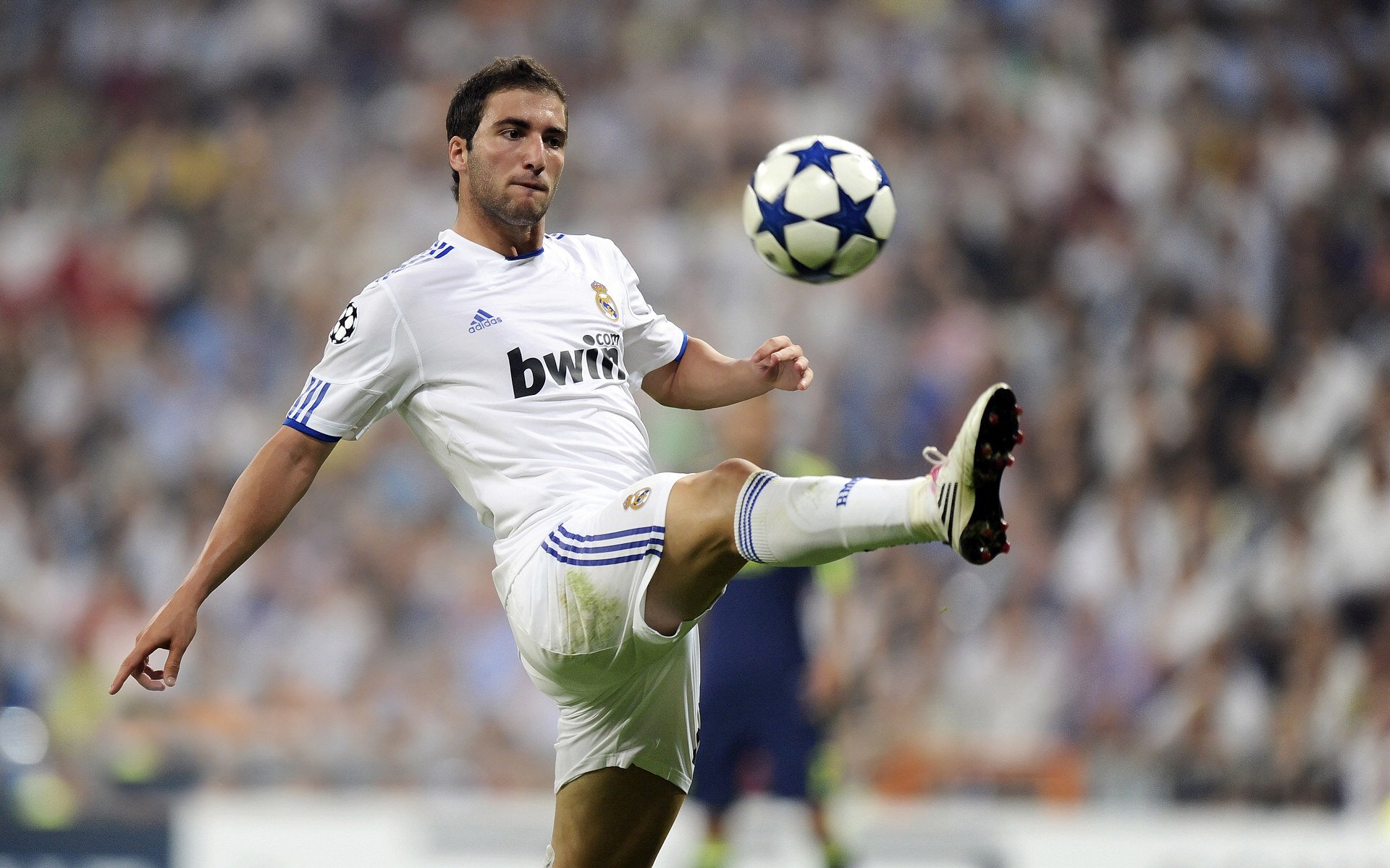 公牛新秀展现潜力赢得球迷期待，公牛近况